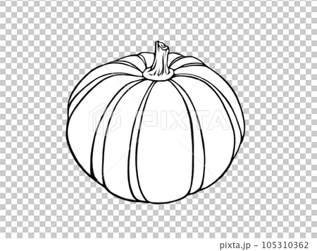 プッチーニカボチャのシンプルな線画イラスト プッチーニカボチャのシンプルな線画イラスト 105310362
