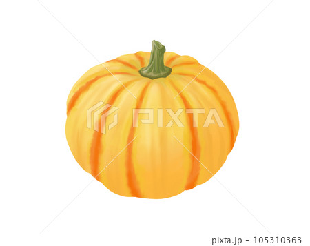 プッチーニカボチャのリアルな水彩イラスト 105310363