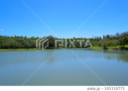 【台湾 台東県】台東森林公園の湖(鷺鷥湖) 105310772