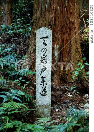 天の岩戸参道（三重県志摩市） 105310829