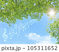 新緑と青空と音楽と 105311652
