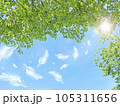 新緑と青空と舞い落ちる羽根 105311656