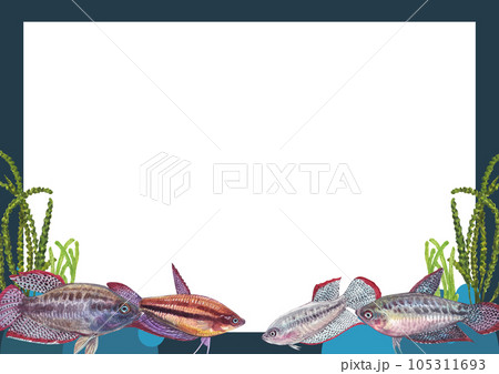 meticulously clipart fish