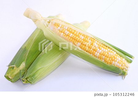 とうもろこし（ドルチェドリーム） 105312246