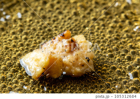 残った焼鳥(ぼんじり)リメイク調理シーン。卵とじするためだし汁の入ったフライパンで煮る。 105312684