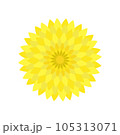 黄色い菊の花のイラスト 105313071