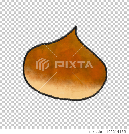 Contoured watercolor hand-drawn chestnut illustration Contoured watercolor hand-drawn chestnut illustration 105314126