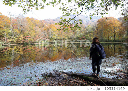 紅葉の刈込池(福井県 大野市) 紅葉の刈込池(福井県 大野市) 105314169
