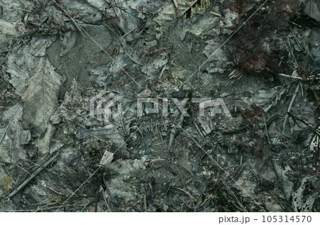 地球の奥底からうめき声が聞こえてくる。あたかも地球上の生物に向かって叫んでいるようにも聞こえる。 地球の奥底からうめき声が聞こえてくる。あたかも地球上の生物に向かって叫んでいるようにも聞こえる。 105314570