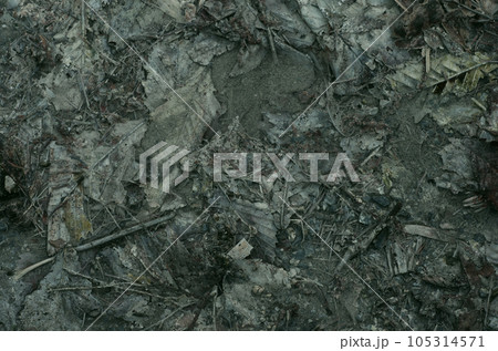 地球の奥底からうめき声が聞こえてくる。あたかも地球上の生物に向かって叫んでいるようにも聞こえる。 地球の奥底からうめき声が聞こえてくる。あたかも地球上の生物に向かって叫んでいるようにも聞こえる。 105314571