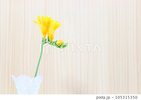 フリージア・一輪挿し・ガラスの花瓶 (コピースぺース・ナチュラル) フリージア・一輪挿し・ガラスの花瓶 (コピースぺース・ナチュラル) 105315350