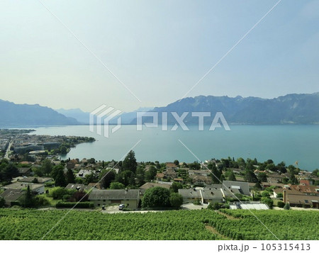 葡萄栽培とワインの里　スイス・ラヴォー地区　町並みとレマン湖 105315413