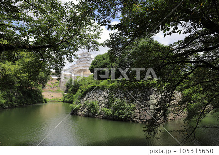 姫路市立動物園から見る姫路城（兵庫県 姫路市） 105315650