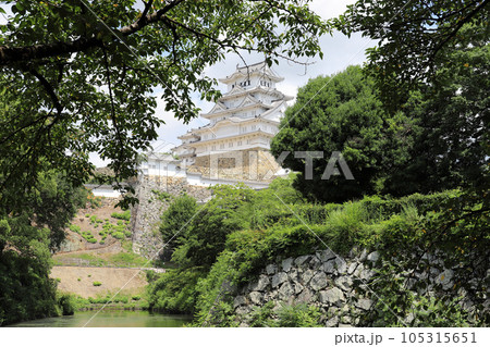 姫路市立動物園から見る姫路城（兵庫県 姫路市） 105315651
