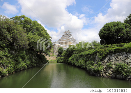 姫路市立動物園から見る姫路城（兵庫県 姫路市） 105315653