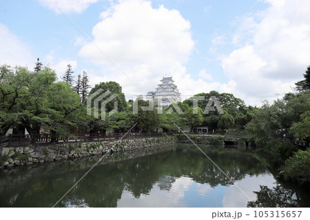 姫路市立動物園から見る姫路城（兵庫県 姫路市） 105315657