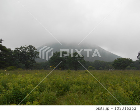 榛名湖ユウスゲの道から見た霧に隠れそうな榛名富士 105316252