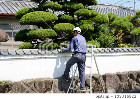 剪定 剪定 105316922