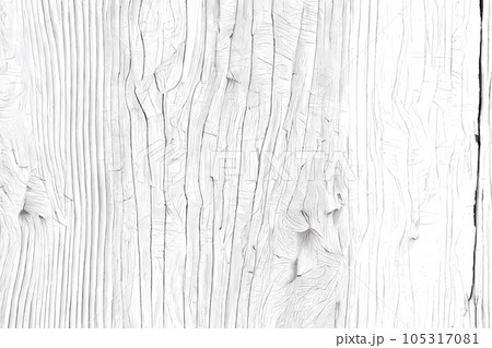Wood white texture of cut tree, close-up. Wooden pattern 105317081