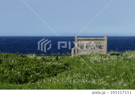 富士野園地 利尻島 北海道 富士野園地 利尻島 北海道 105317151