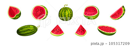 Fresh and Juicy Watermelon Fruit with Red Flesh and Black Seeds Vector Set Fresh and Juicy Watermelon Fruit with Red Flesh and Black Seeds Vector Set 105317209