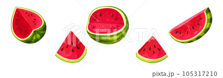 Fresh and Juicy Watermelon Fruit with Red Flesh and Black Seeds Vector Set 105317210