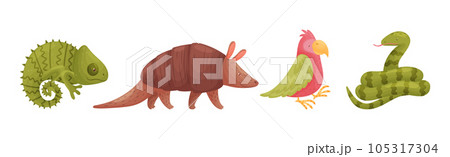 Cute African Animals and Zoo Creature Vector Set Cute African Animals and Zoo Creature Vector Set 105317304
