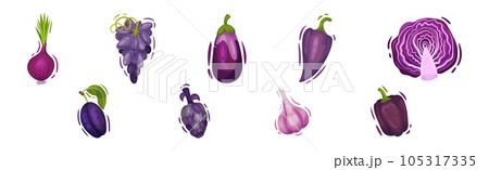 Purple Fruit and Vegetable with Eggplant, Grapes, Cabbage, Pepper, Onion, Garlic and Plum Vector Set Purple Fruit and Vegetable with Eggplant, Grapes, Cabbage, Pepper, Onion, Garlic and Plum Vector Set 105317335