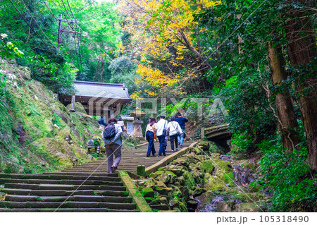 【中国三十三観音霊場】第二十八番　清水寺　晩秋の参道と山門　島根県安来市 105318490