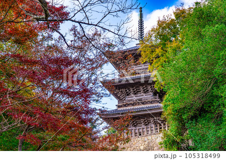 【中国三十三観音霊場】第二十八番　清水寺　晩秋の三重塔2　島根県安来市 105318499