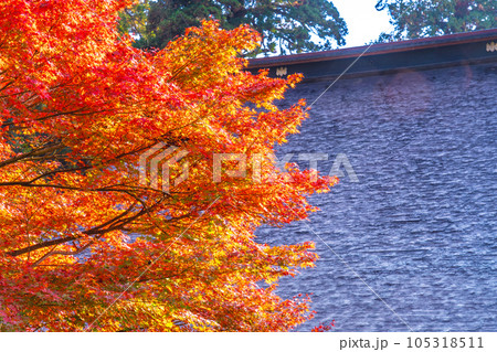 【中国三十三観音霊場】第二十八番　清水寺　紅葉と根本堂の屋根3　島根県安来市 105318511