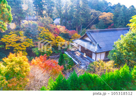 【中国三十三観音霊場】第二十八番　清水寺　紅葉の境内1　島根県安来市 105318512
