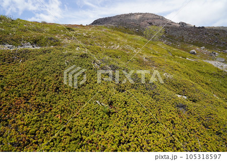 茶臼岳の山腹を牛ケ首に向かう登山道から、茶臼岳の山頂方面を見上げる 2023年5月30日 茶臼岳の山腹を牛ケ首に向かう登山道から、茶臼岳の山頂方面を見上げる 2023年5月30日 105318597