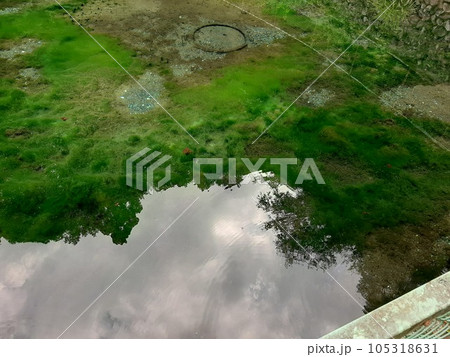 湖　綺麗な池　池　綺麗な水　水溜まり 105318631