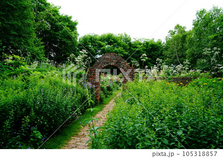 北海道　上野ファーム　夏 105318857