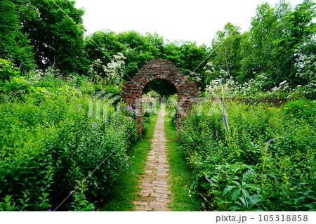 北海道　上野ファーム　夏 105318858