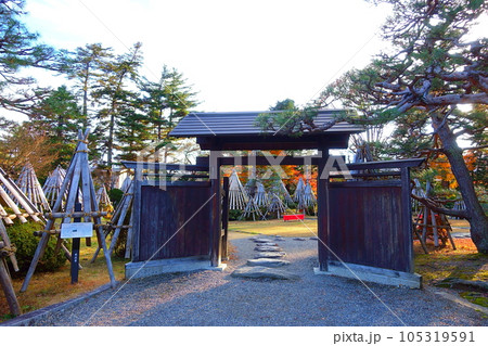 上杉伯爵邸　雪囲い　冬囲い　雪 105319591