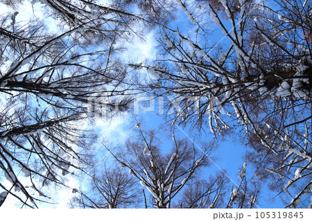雪山から見た空 105319845