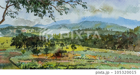 Colorful of Village rural, rice field, farm with trees mountain. 105320015