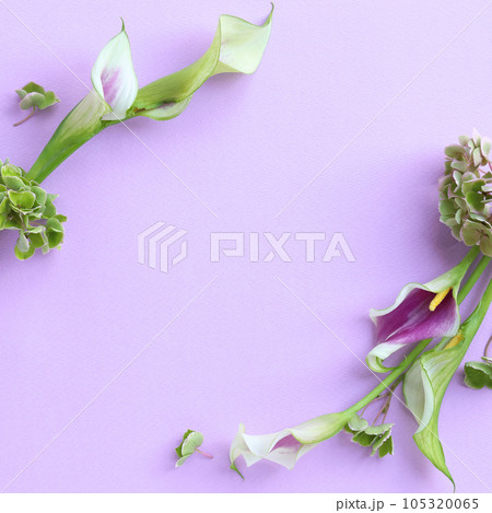 カラーと秋色あじさいのフレーム 105320065