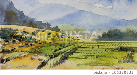 Village rural, rice field, farmer farm with mountain paintings illustration. Village rural, rice field, farmer farm with mountain paintings illustration. 105320333