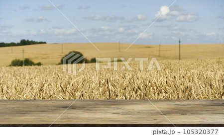 Table wheat field background. Wooden table for product on gold wheat harvest agricultural backdrop. Flour, bread, agriculture concept. 105320377