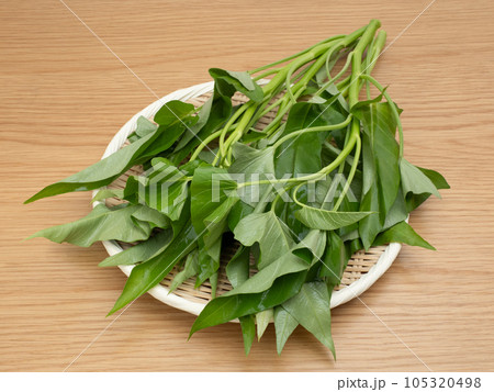 空芯菜 空芯菜 105320498