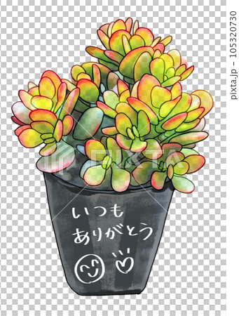 I want to give it to Respect for the Aged Day! Perpetual youth and longevity "money tree" transparent 105320730