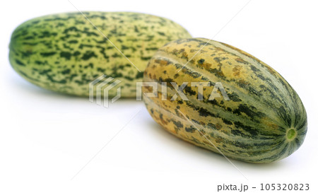 Fresh Muskmelons Fresh Muskmelons 105320823