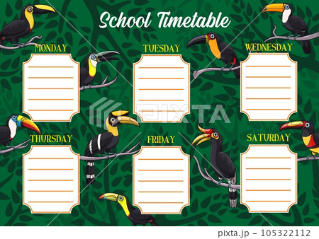 School timetable or schedule, education vector template with exotic toucan birds. Student planner or weekly lesson chart layout on background with tropical toucans, toucanets and jungle palm trees 105322112