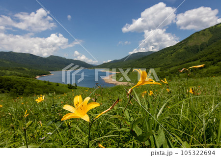 夏の野反湖 群馬県 夏の野反湖 群馬県 105322694
