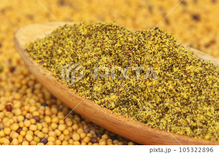 Ground Mustard 105322896
