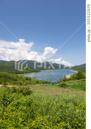 富士見峠から見る夏の野反湖 富士見峠から見る夏の野反湖 105322929