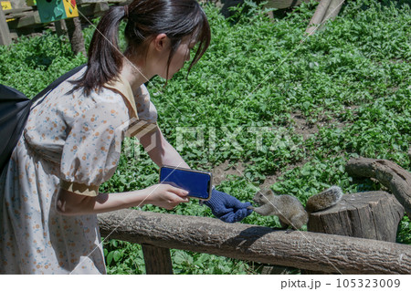リスに餌あげる女の子 105323009